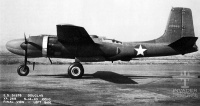 41-19588.jpg