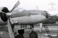 644 Cachita.jpg