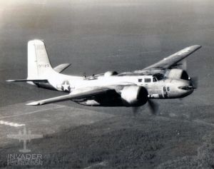 41-39123.jpg